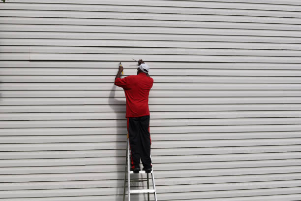 Best Fascia and Soffit Installation  in Ripley, MS