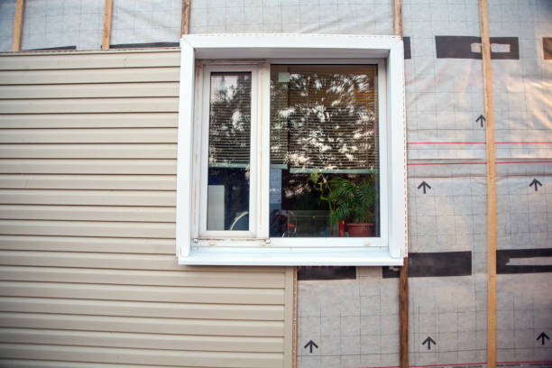 Best Fiber Cement Siding Installation  in Ripley, MS