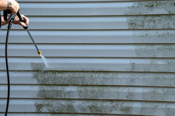 Best Weatherproofing and Sealing  in Ripley, MS