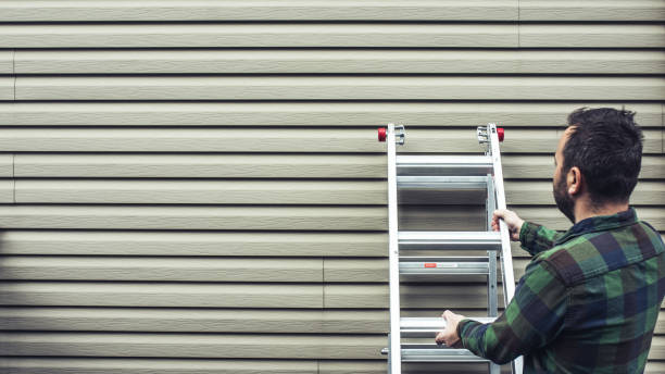 Best Siding for New Construction  in Ripley, MS