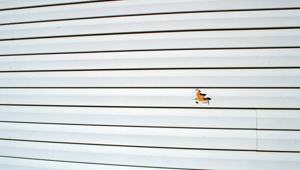 Best Residential Vinyl Siding Installation  in Ripley, MS
