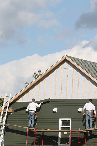 Affordable siding repair and maintenance services in Ripley, MS