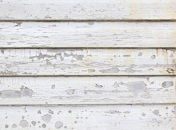Best Siding Replacement  in Ripley, MS
